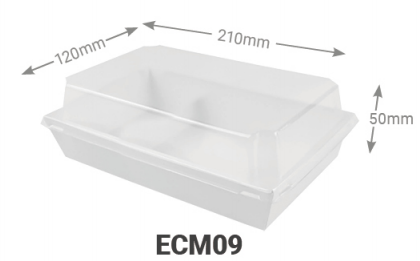 ENVASE CARTON BLANCO+TAPA PET 210*120*50mm(0.251€/Uds)(300Uds/Caja)